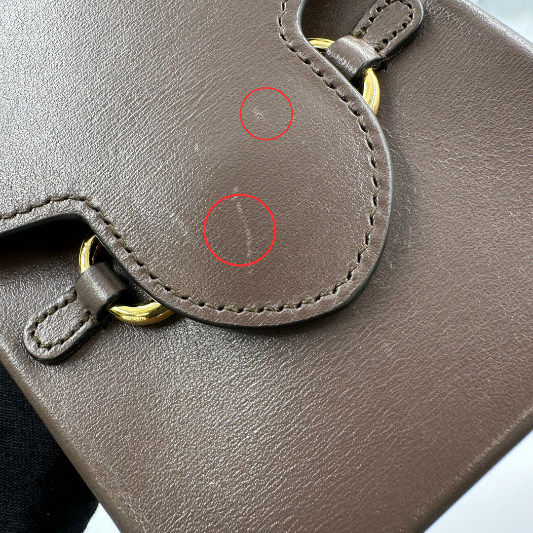 Gucci Boarded Plutone Calfskin Mini Horsebit 1955 Crossbody Bag New Acero - Gemaee  UAE