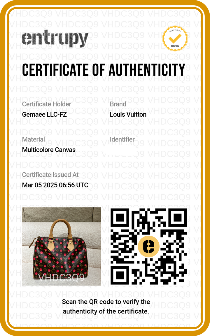 Louis Vuitton Cherry Speedy 25 Handbag